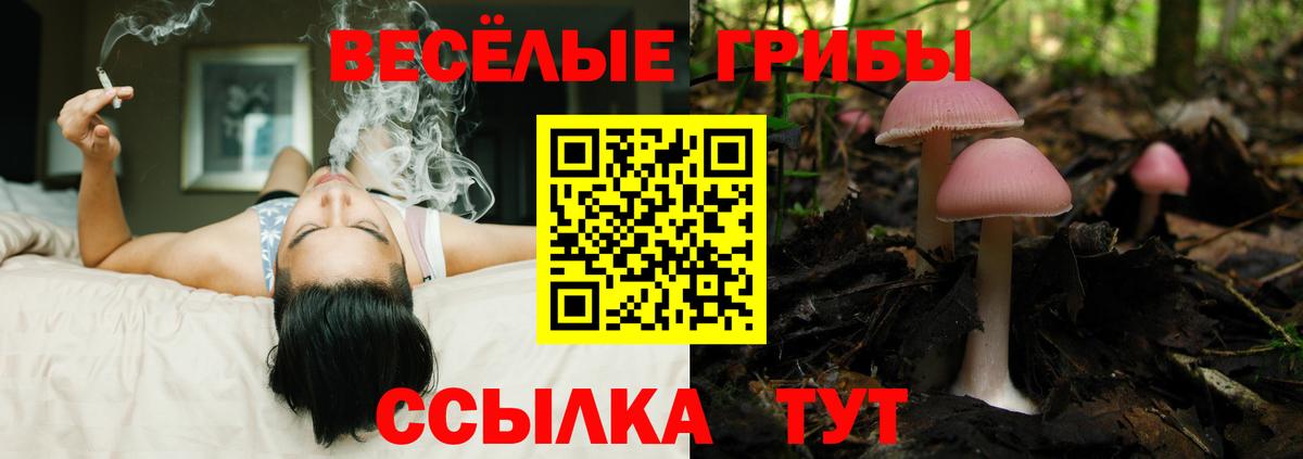 Галлюциногенные грибы Magic Shrooms  Вход с VPN  Псилоцибиновые грибы мицелий  Нижнеудинск 